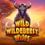 Wild Wildebeest Wins